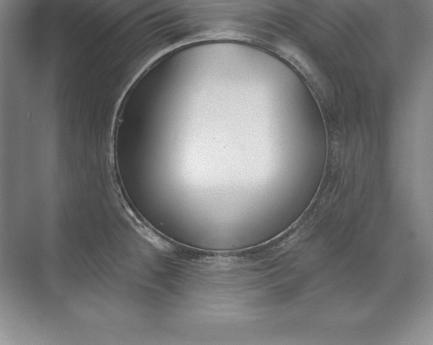 X0000071351236200607071716