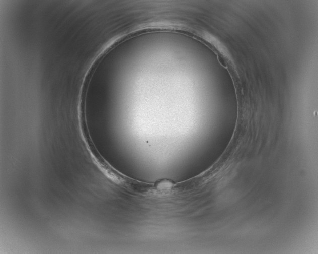 X0000071351237200607071716