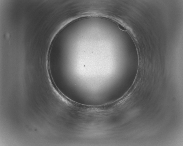 X0000071351239200607071716