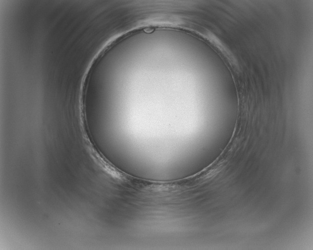 X0000071351240200607071716