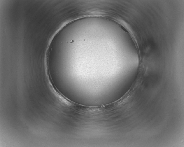 X0000071351243200607071716