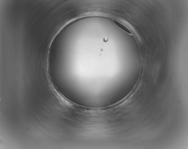 X0000071351244200607071716