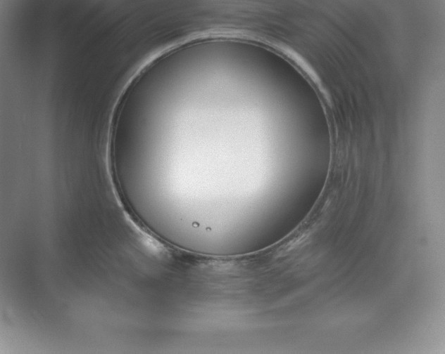 X0000071351245200607071716