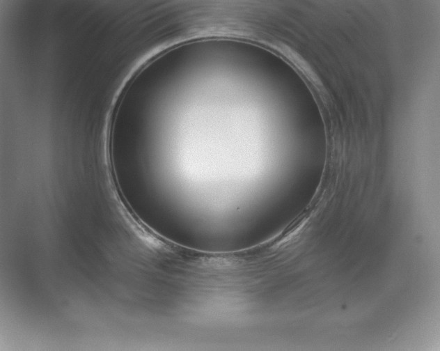 X0000071351246200607071716