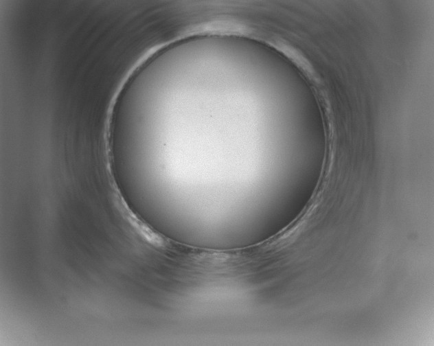 X0000071351248200607071716