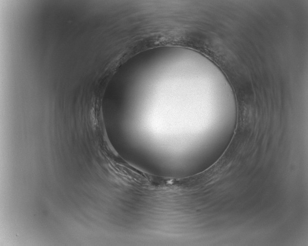 X0000071351250200607071715