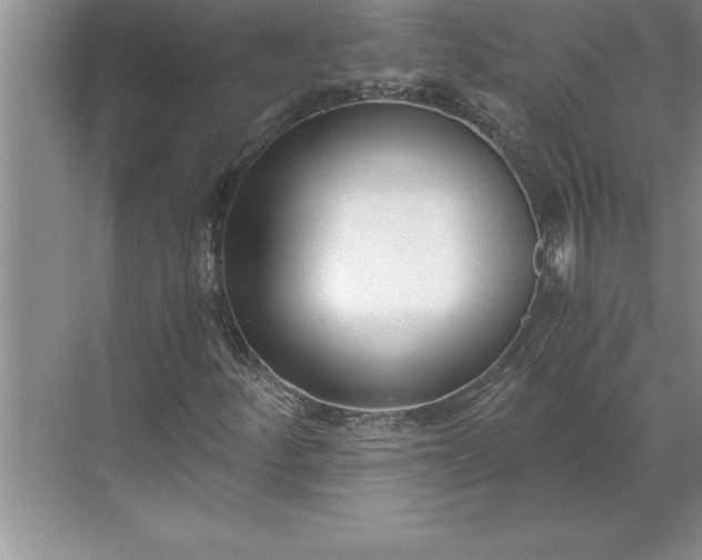 X0000071351252200607071715