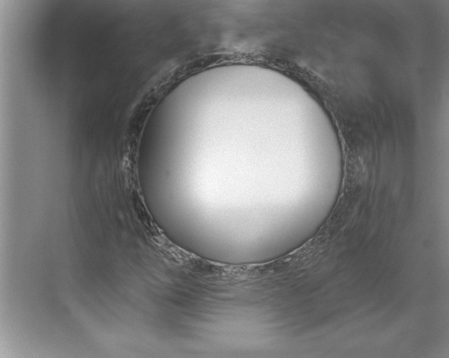 X0000071351254200607071715