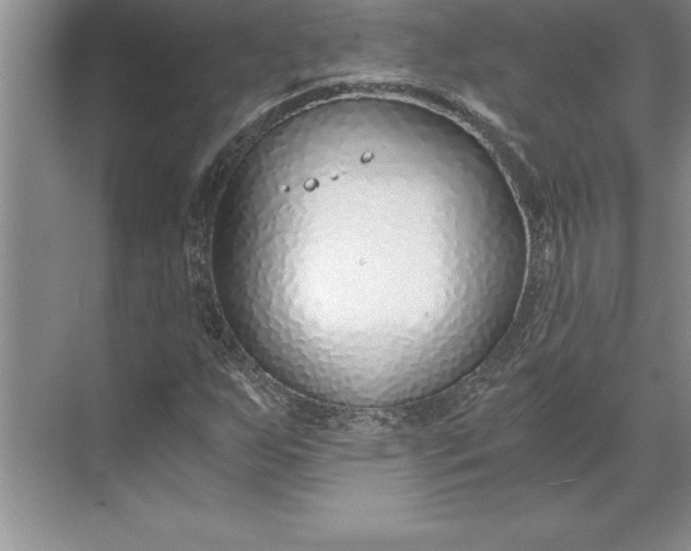 X0000071351255200607071715