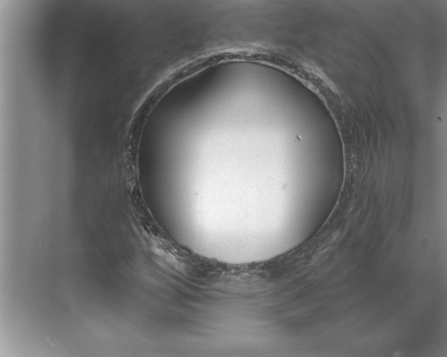 X0000071351256200607071715