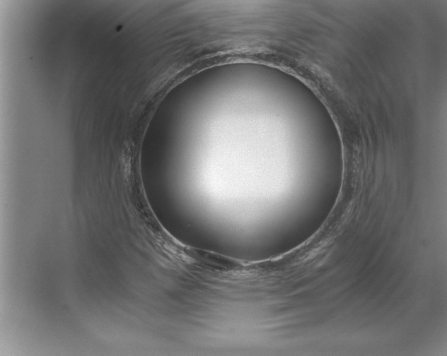 X0000071351257200607071715