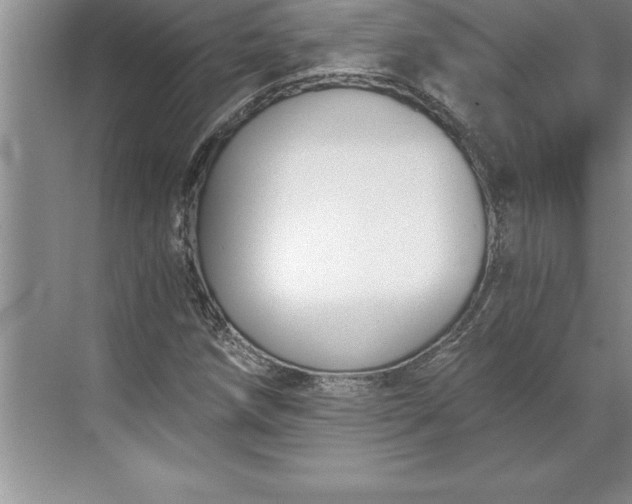 X0000071351258200607071715