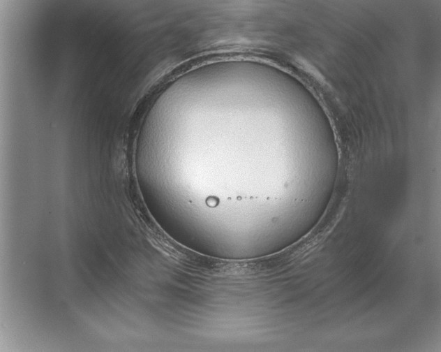 X0000071351259200607071715