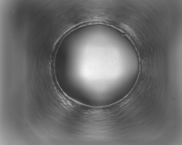 X0000071351260200607071715