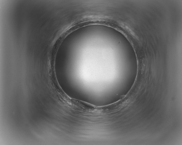 X0000071351261200607071715