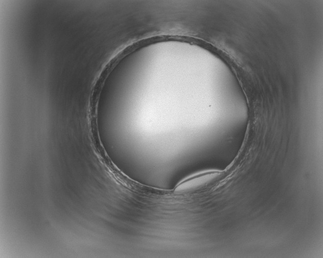 X0000071351264200607071715