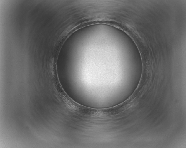 X0000071351265200607071715