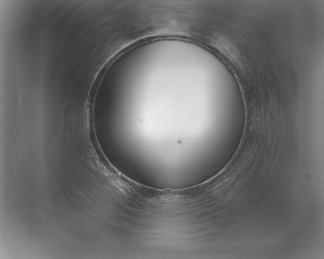 X0000071351268200607071715