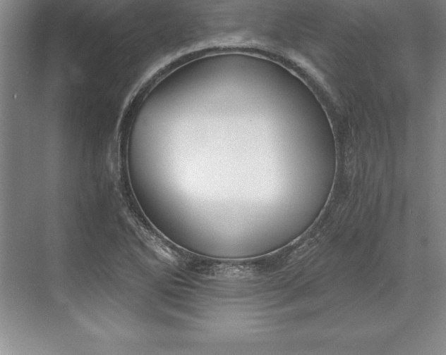 X0000071351270200607071715