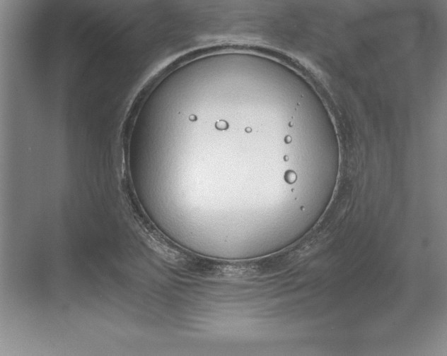 X0000071351271200607071715