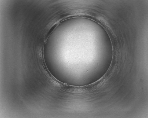 X0000071351273200607071715