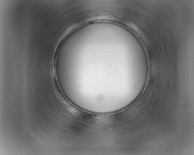 X0000071351274200607071714