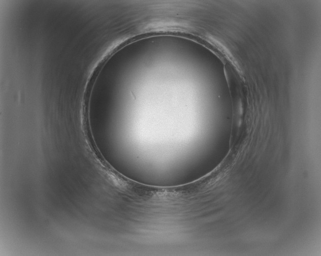 X0000071351277200607071714