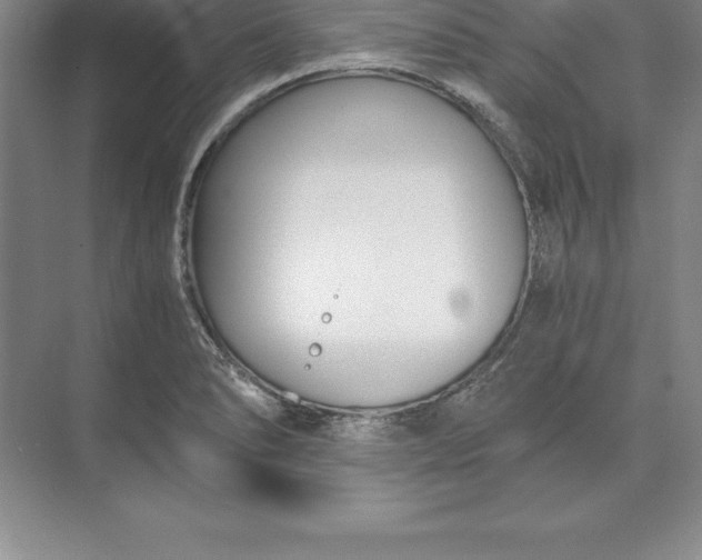 X0000071351278200607071714