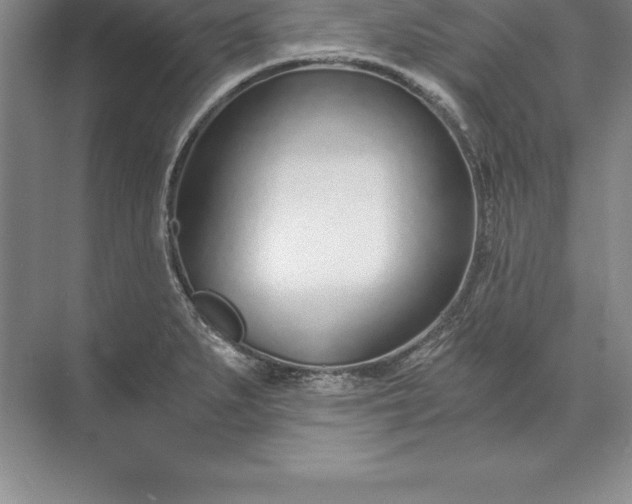 X0000071351279200607071714