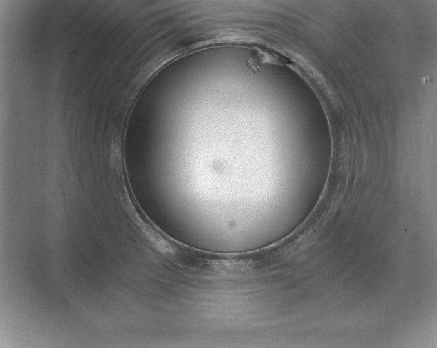 X0000071351281200607071714