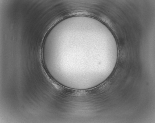 X0000071351282200607071714