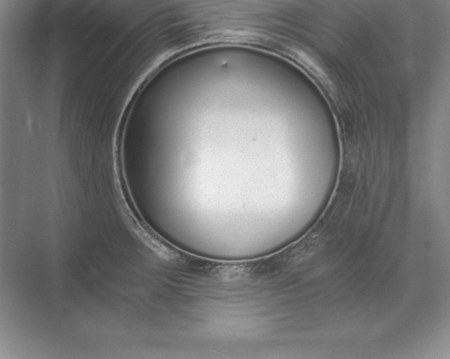 X0000071351283200607071714