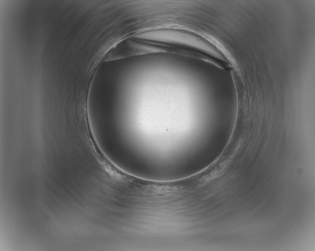 X0000071351289200607071714