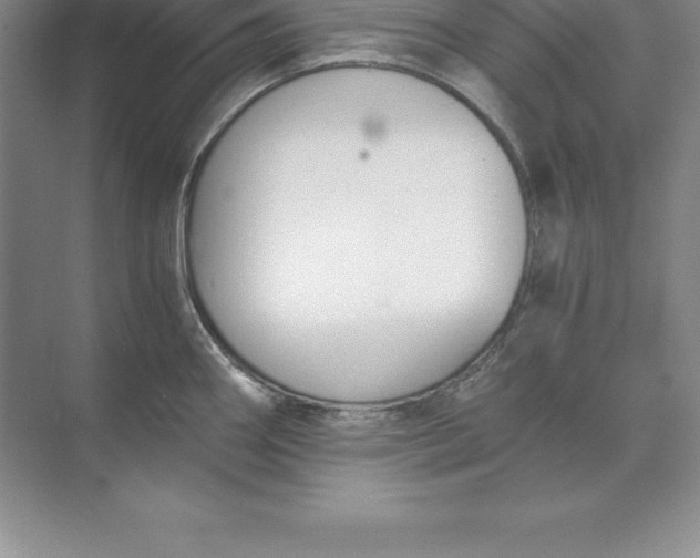 X0000071351290200607071714