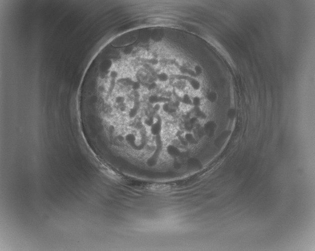 X0000071351291200607071714