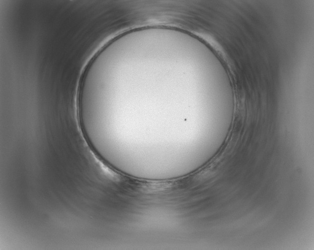 X0000071351294200607071714