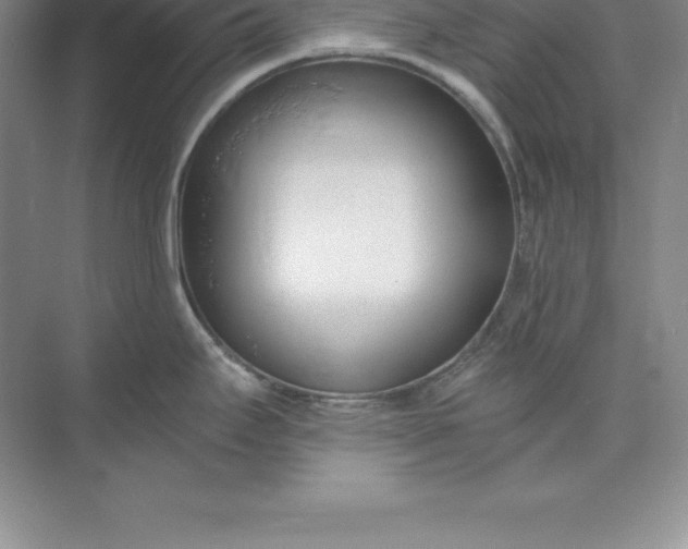 X0000071351295200607071714