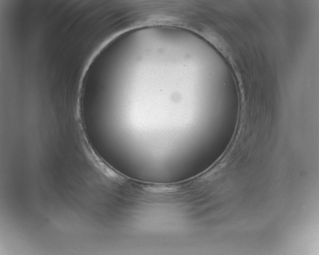 X0000071351296200607071714