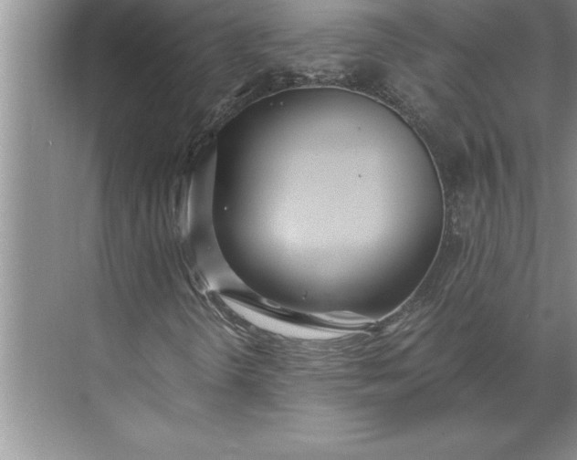 X0000071351298200607071713