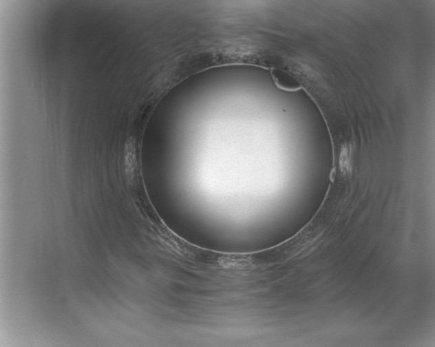 X0000071351299200607071713