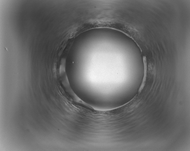 X0000071351300200607071713