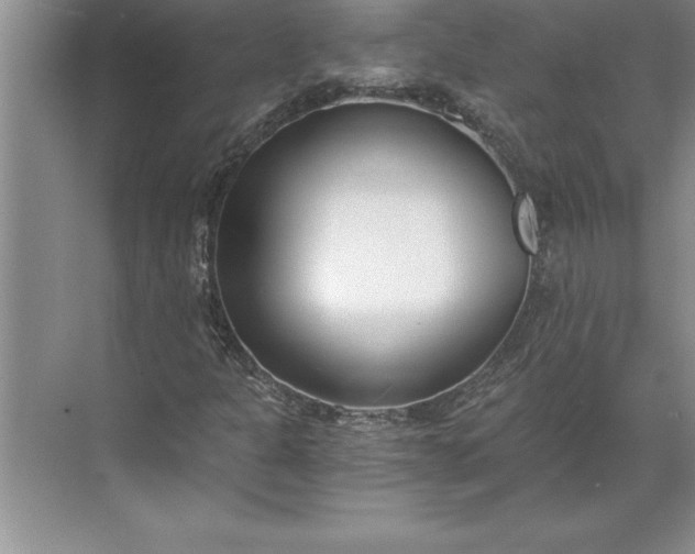 X0000071351301200607071713