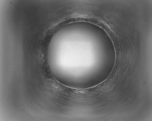 X0000071351303200607071713