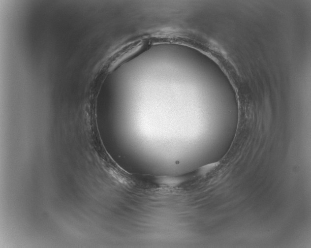 X0000071351304200607071713