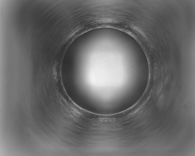 X0000071351305200607071713