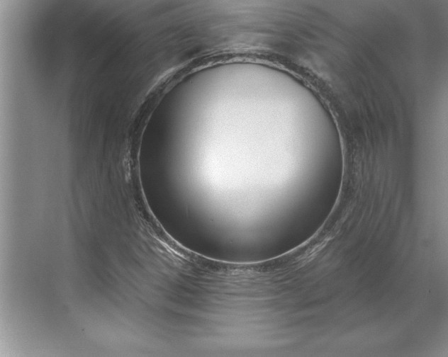 X0000071351306200607071713