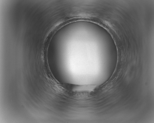 X0000071351307200607071713