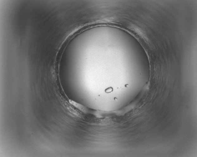 X0000071351308200607071713