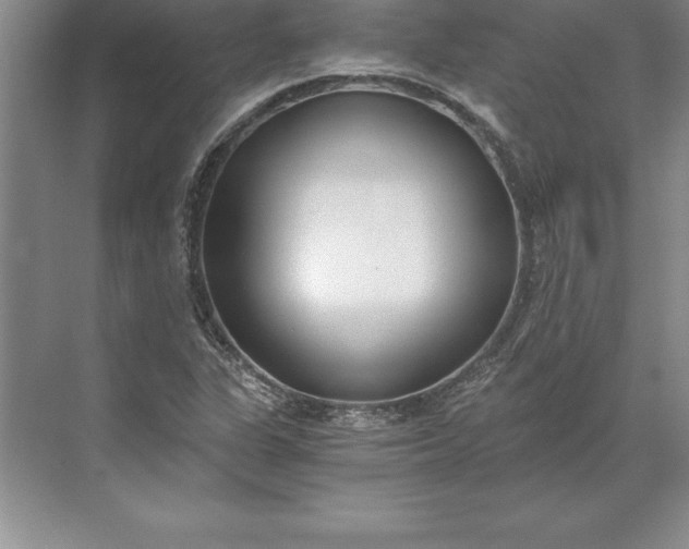 X0000071351311200607071714