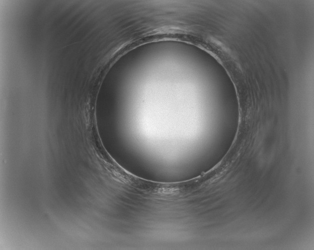 X0000071351313200607071714